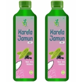 Karela Jamun sugar free Juice Pack of 2 - 1000ml