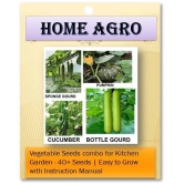 HN organic seed - Vegetable Seeds ( 40 )