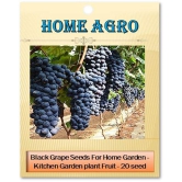 homeagro - Fruit Seeds ( 20 seeds )