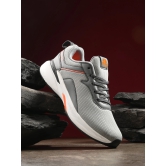 SPEED PLUS - GREY-9 / GREY