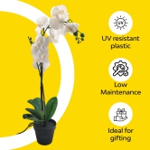 Artificial White Orchid Potted Plant