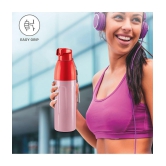 Milton Kool Convex 700 Insulated Inner Pet Water Bottle, 560 ml, Light Red | Easy To Carry | Leak Proof | School | Office | Gym | Hiking | Treking | Travel Bottle - Red