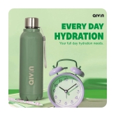 Aivin Crystal Green Steel Water Bottle 750 mL ( Set of 1 ) - Green