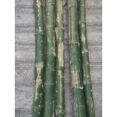 BAMBOO DRY