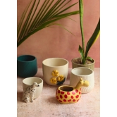 Set of 6 Aesthetic Planter (for the price of 5)