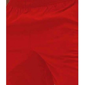 REVIEW - Red Polyester Blend Men's Shorts ( Pack of 1 ) - None