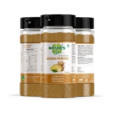 Natures Gift - 100 gm Ginger powder (Pack of 4)