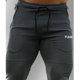 Fuaark - Dark Grey Polyester Mens Sports Joggers ( Pack of 1 ) - M