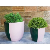 Euroxo Pink Green Fiber Planter Set | FRP Planter for indoor & outdoor