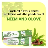 Kudos Neem+Clove Toothpaste Pack of 4 Pieces