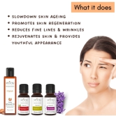 DIY Kit for Wrinkles & Fine Lines | Anti Aging and Fine Lines