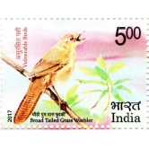 India Broad Tailed Grass Warbler  ( Vulnerable Birds ) Postage Stamp