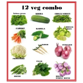 COMBO OF 12 DIFFERENT TYPE VEGETABLE PLANT SEEDS PACK more tham 250+ seeds pack WITH USER MAmanualNAUL FOR HOME GARDENUNG USE