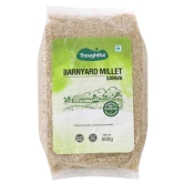 Thoughtful Pesticide-Free Barnyard Millet, 500 Gm