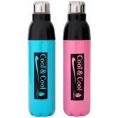 LAZYWINDOW Cool & Cool 1000ml Pink & Sky Blue Water Bottle Blue Plastic Water Bottle 1000 mL ( Set of 2 ) - Blue