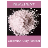 MR Ayurveda Best Selling Calamine Clay Powder Face Pack Masks 100 gm