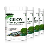 rawmest Giloy Powder 400 gm Vitamins Powder