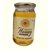 White honey (Indian Borage )