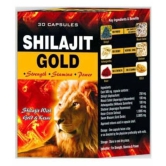 G&G Pharmacy Shilajit With Gold Capsules Pack Of 1