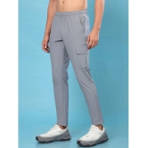 PPTHEFASHIONHUB Grey Lycra Mens Trackpants ( Pack of 1 ) - None