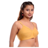 Elina Cotton Everyday Bra - Beige Single - 44C