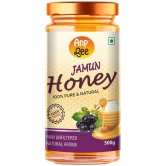 ANP BEE Honey Jamun Honey 500 g