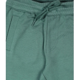 PLUM TREE - Green Cotton Boys Trackpant ( Pack of 1 ) - None