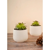 Essential White Planter