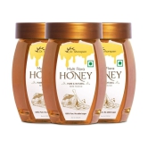 Dr. Morepen Multi Flora Honey 250gm Each- Pack of 3