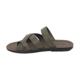 Aerowalk - Olive Mens Leather Slipper - None