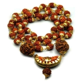 Abloom rudraksha mala / genuine rudraksha mala / rudraksha mala for wearing / rudraksha mala in gold online shopping / tulsi mala and rudraksha mala / gold capped rudraksha mala / rudraksha 