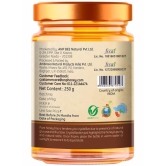 ANP BEE Honey Organic CinamonHoney 250 g