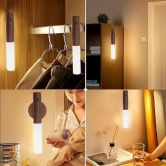 Intelligent Induction lamp