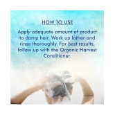 Organic Harvest - Anti Dandruff Shampoo 230 ml (Pack of 1)