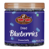 YUM YUM Premium Dried Blueberries 200g