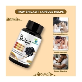 Vedapure Raw Shilajit For Stamina, Immunity for Men & Women - 60 Cap (Pack of 1)