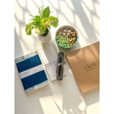 Sustainable Productivity Gift hamper by Ekatra - Indigo Stripes