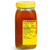 Dabur Honey, 500G