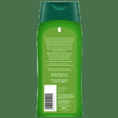 BIOTIQUE Fresh Daily Purifying Shampoo & Conditioner - Green Apple, For Oily Scalp & Hair, 400 ml