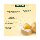 Organic Harvest SPF (Lemon) Flavour Lip Balm For Dry & Chapped Lips - 10 gm