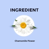 Chamomile Flower Herbal Infusion - 30g (Pack of 2)