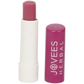 Jovees Herbal Berry Lip Balm with Hyaluronic Acid, Rejuvenates Dry Lips, 5gm