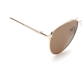 Brown Aviator Sunglasses for Unisex