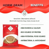 Swasth Natural HorseGram