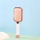 Stylish and Shiny Brush