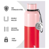 Milton Ancy 1000 Thermosteel Water Bottle, 1.05 Litre, Red | 24 Hours Hot and Cold | Easy to Carry | Rust Proof | Tea | Coffee | Office| Gym | Home | Kitchen | Hiking | Trekking | Travel Bot