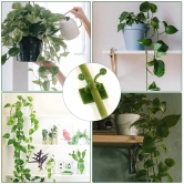 6156A 30pcs wall Plant Climbing Clip widely used for holding plants and poultry purposes and all ( Box )