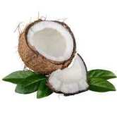 Organic Coconut 1 Pc