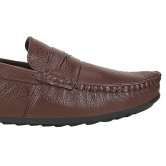 SeeandWear Pure Leather Brown Loafers for Men