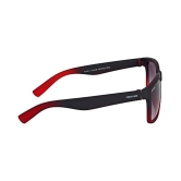 Creature - Black Rectangle Pack of 1 Sunglasses - Medium